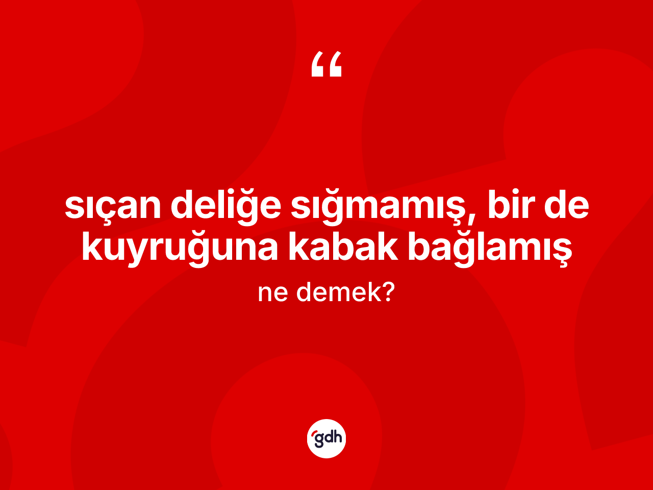 Sıçan deliğe sığmamış, bir de kuyruğuna kabak bağlamış nedir? Sıçan deliğe sığmamış, bir de kuyruğuna kabak bağlamış ifadesi hangi durumlarda kullanılır