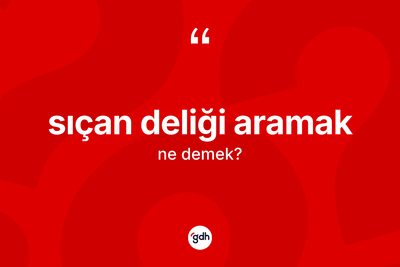 Sıçan deliği aramak sözü ne anlama gelir? Sıçan deliği aramak ifadesinin sözlük anlamı nedir?