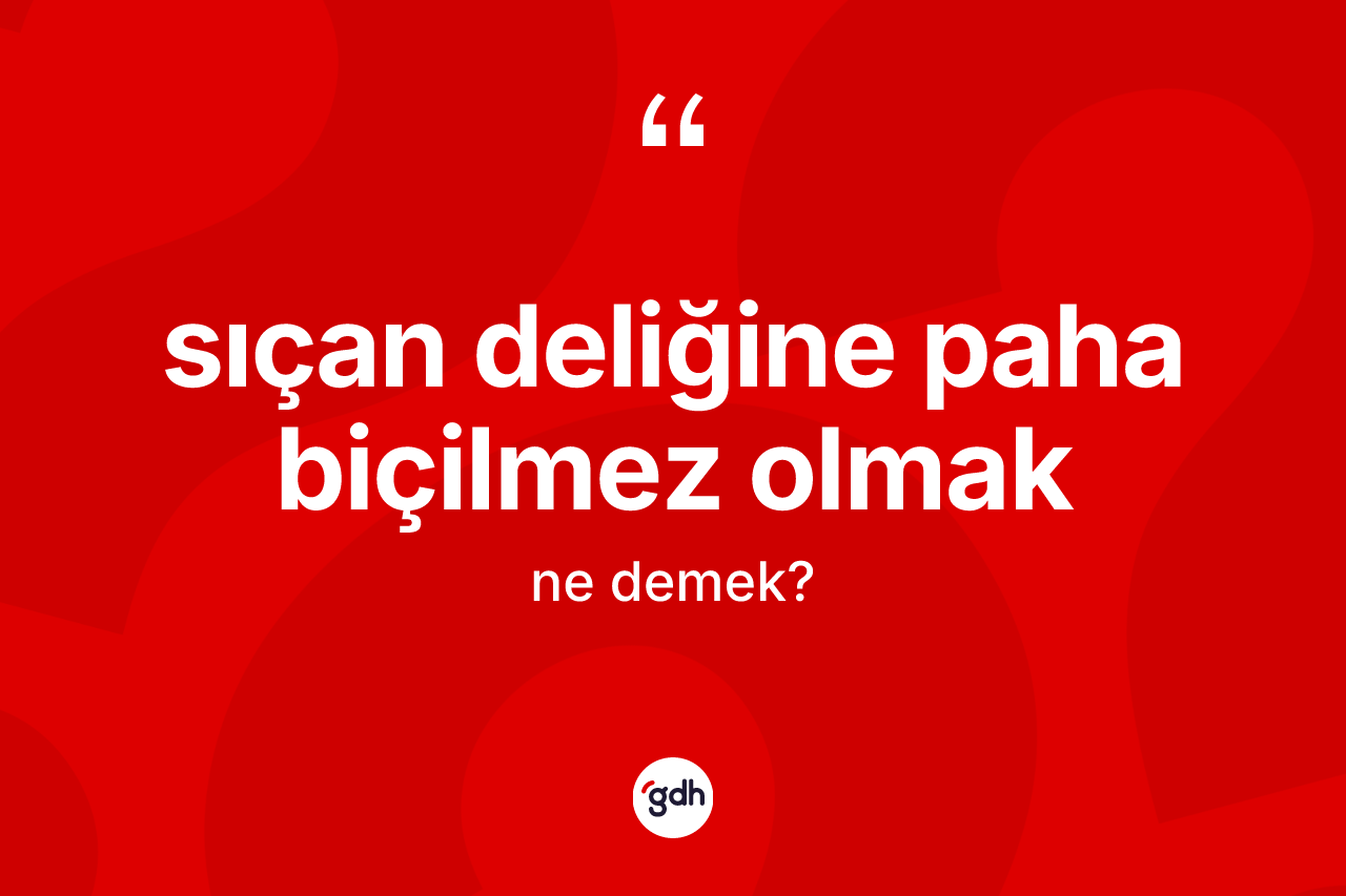 Sıçan deliğine paha biçilmez olmak ifadesinin kısaca tanımı nedir? Sıçan deliğine paha biçilmez olmak ifadesinin TDK anlamı nedir?