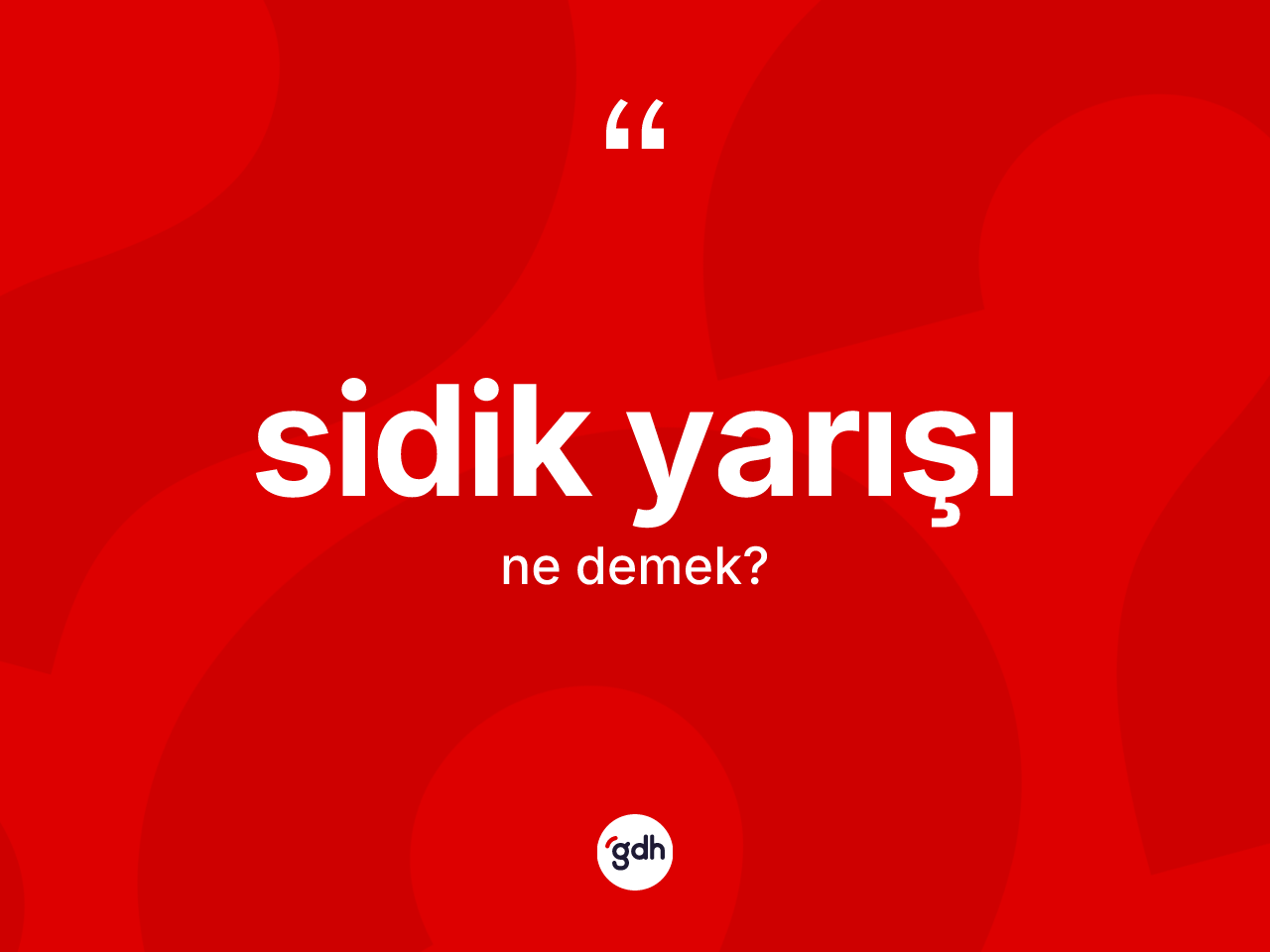 Sidik yarışı kelimesinin tanımı nedir? Sidik yarışının kısaca tanımı nedir?