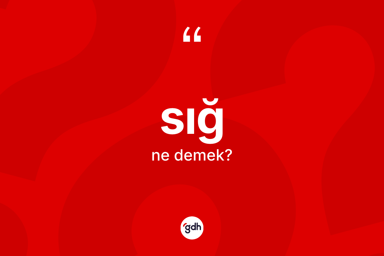Sığ nedir? Sığın TDK'ya göre anlamı nedir?