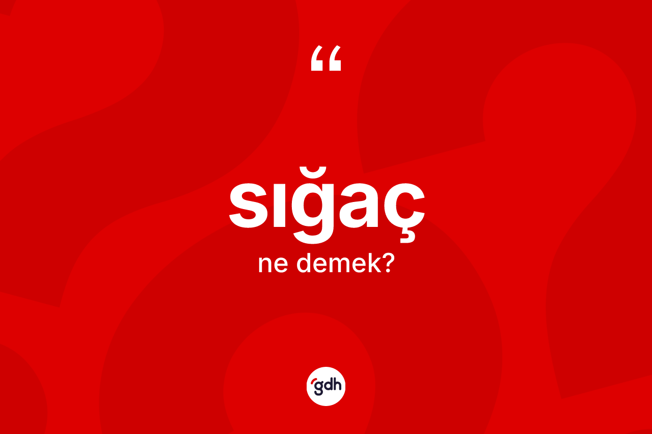 Sığaç kelimesinin tanımı nedir? Sığacın kısaca tanımı nedir?
