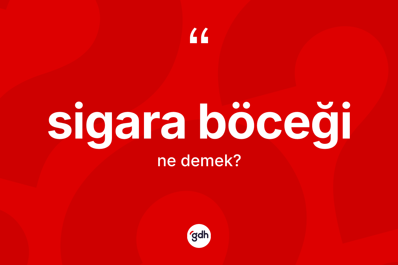 Sigara böceği kelimesinin sözlükteki tanımı nedir? Sigara böceğinin kısaca tanımı nedir?
