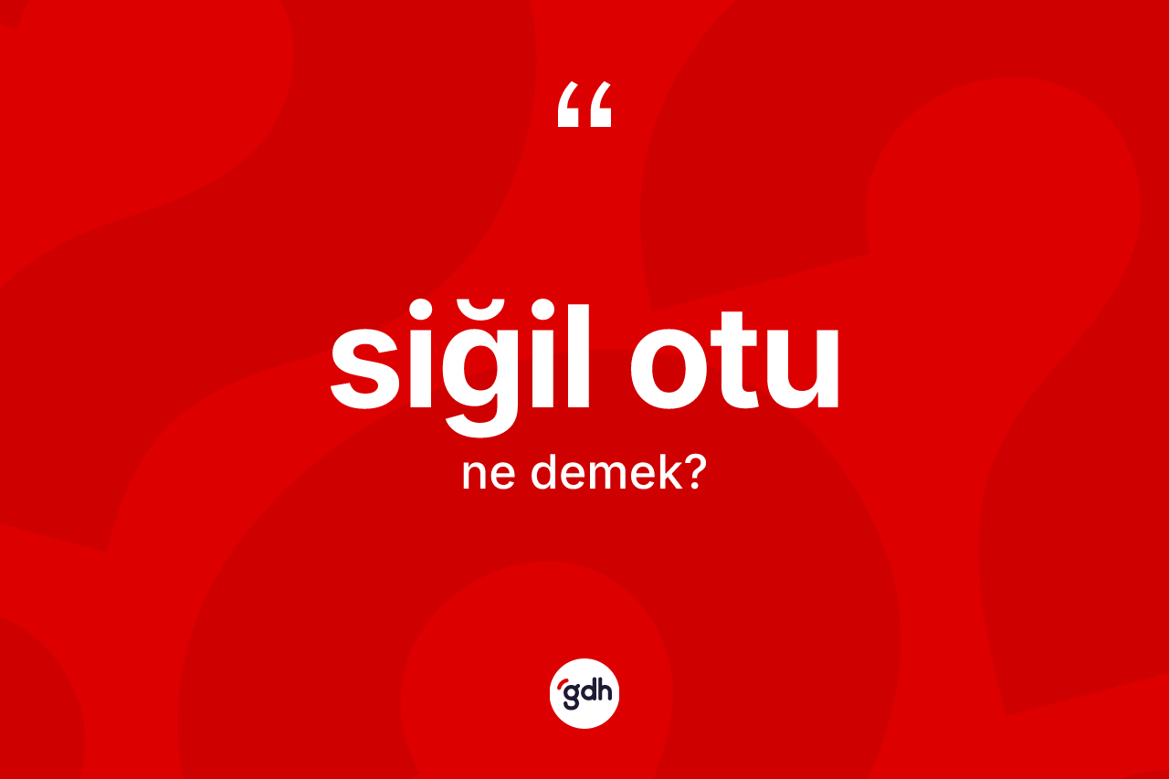 Siğil otu kelimesi ne anlama gelir? Siğil otunun sözlükteki anlamı nedir?