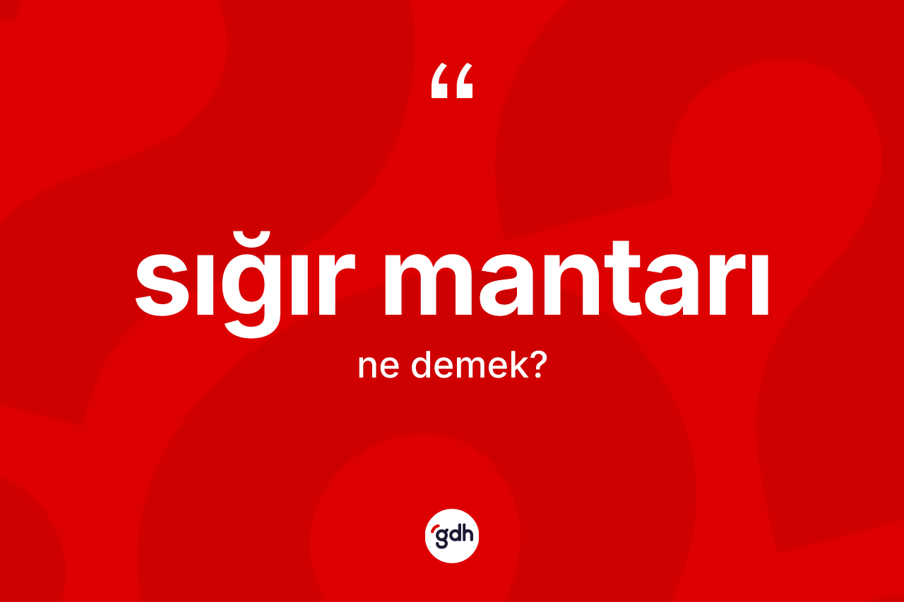 Sığır mantarı kelimesinin anlamı nedir? Sığır mantarının TDK'ya göre anlamı nedir?
