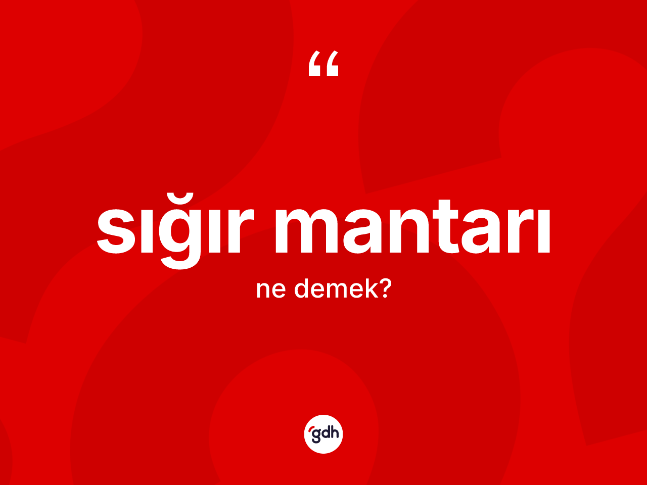 Sığır mantarı kelimesinin anlamı nedir? Sığır mantarının TDK'ya göre anlamı nedir?