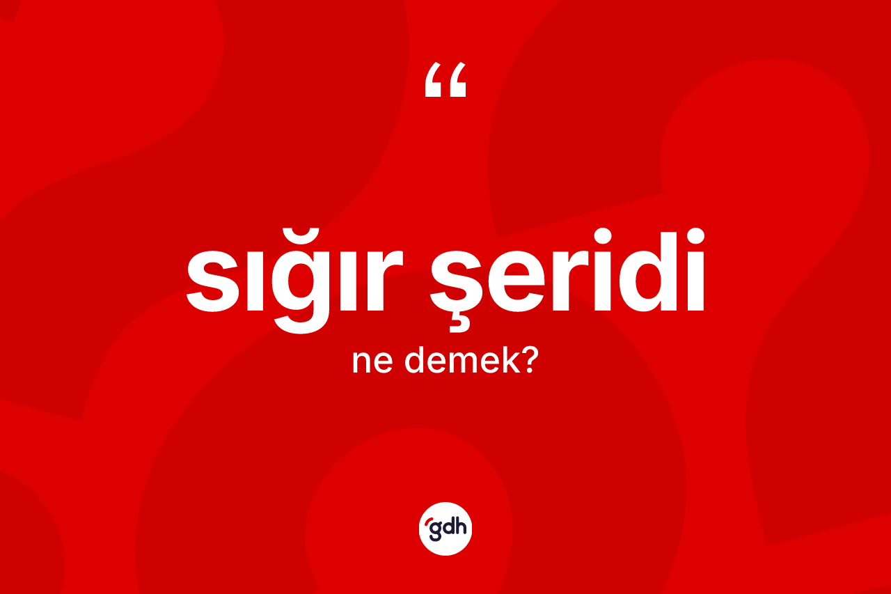 Sığır şeridi kelimesinin anlamı nedir? Sığır şeridinin TDK'ya göre anlamı nedir?
