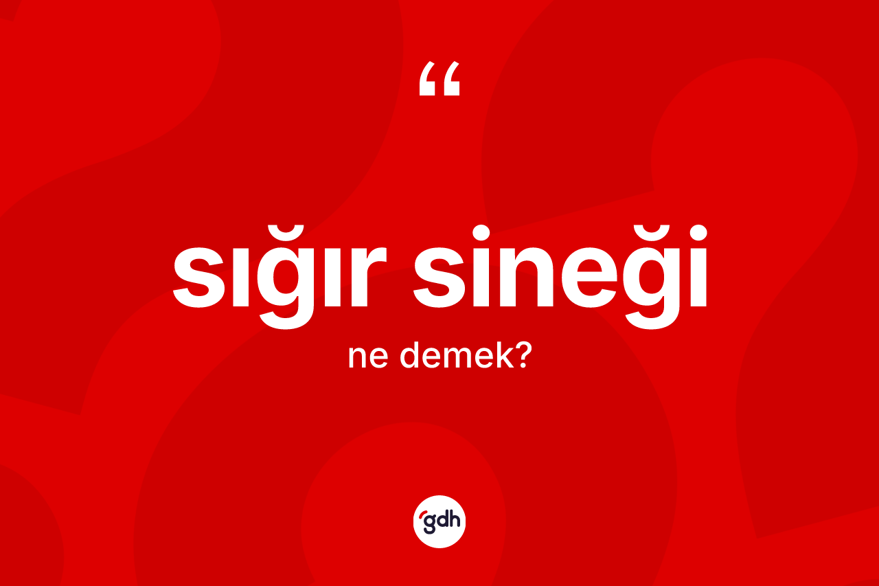 Sığır sineği kelimesinin anlamı nedir? Sığır sineği kelimesinin TDK'ya göre açıklaması nedir?