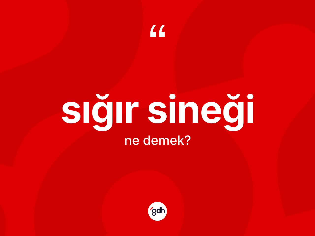 Sığır sineği kelimesinin anlamı nedir? Sığır sineği kelimesinin TDK'ya göre açıklaması nedir?