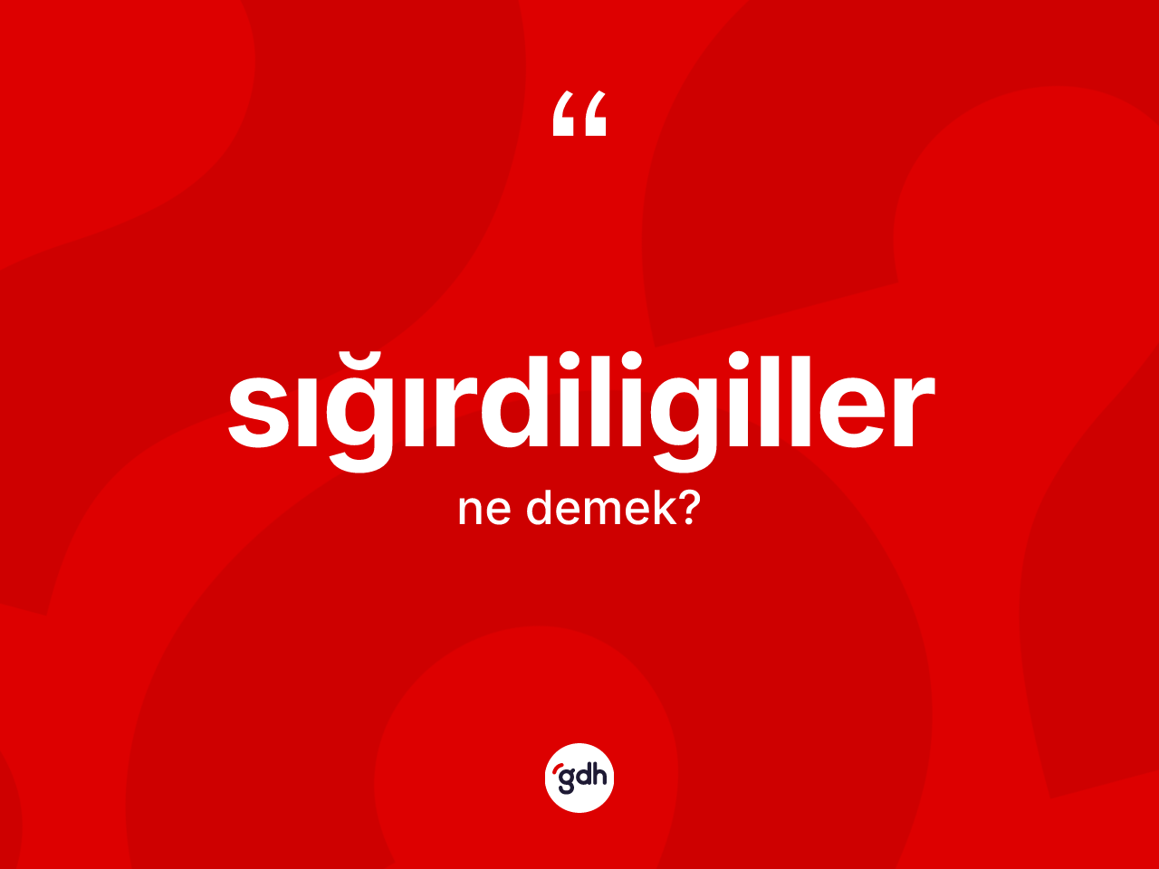 Sığırdiligiller ne anlama gelir? Sığırdiligillerin halk arasındaki kullanımı nasıldır?