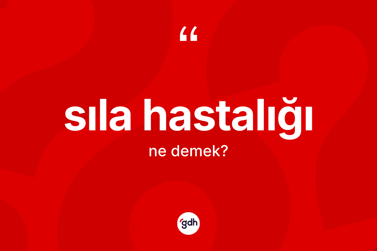 Sıla hastalığı kelimesinin sözlükteki tanımı nedir? Sıla hastalığı kelimesinin TDK anlamı nedir?