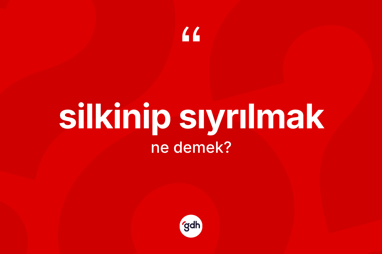 Silkinip sıyrılmak ne demek? Silkinip sıyrılmak ifadesinin TDK'ya göre anlamı nedir?
