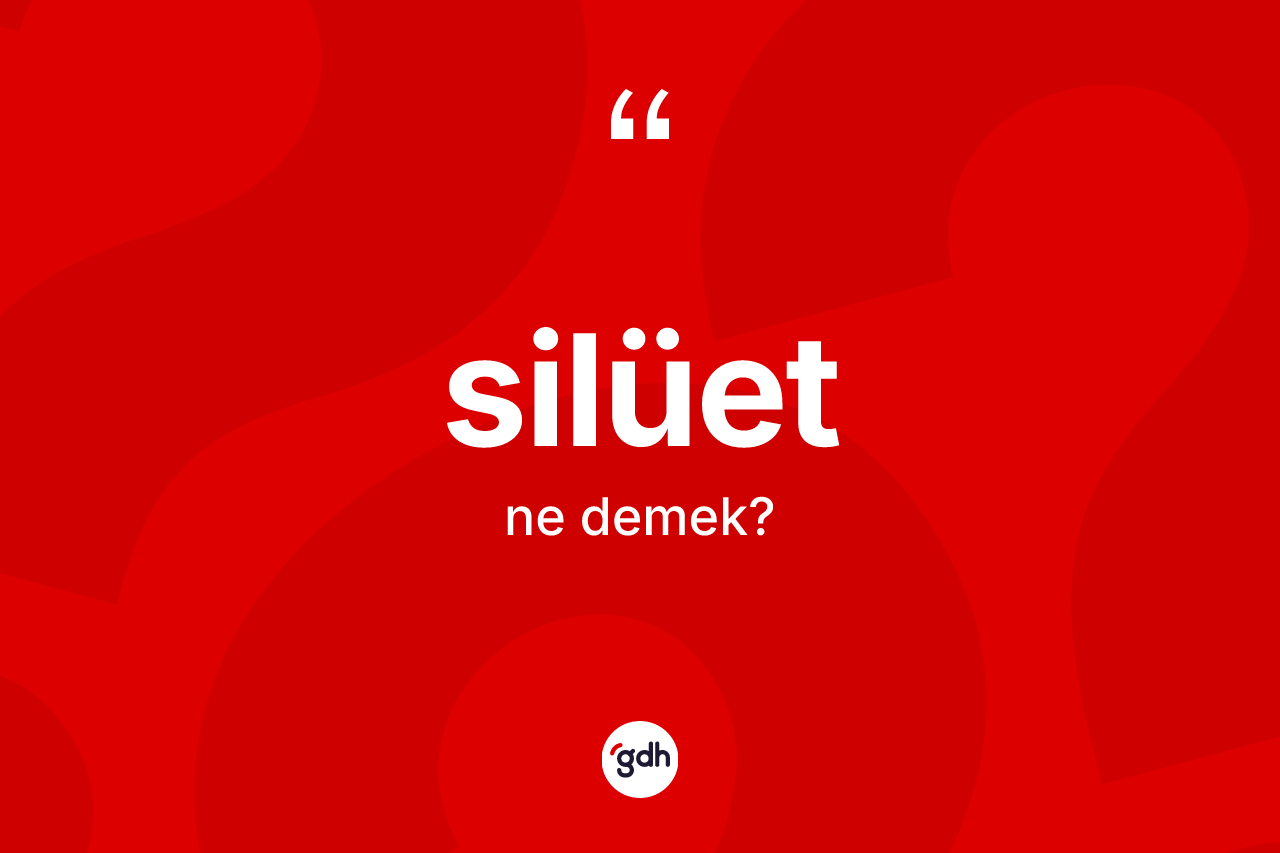 Silüet kelimesi ne demek?