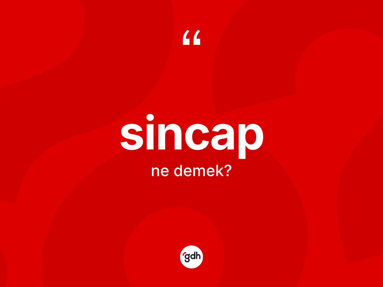 Sincap kelimesinin anlamı nedir? Sincabın kısaca tanımı nedir?