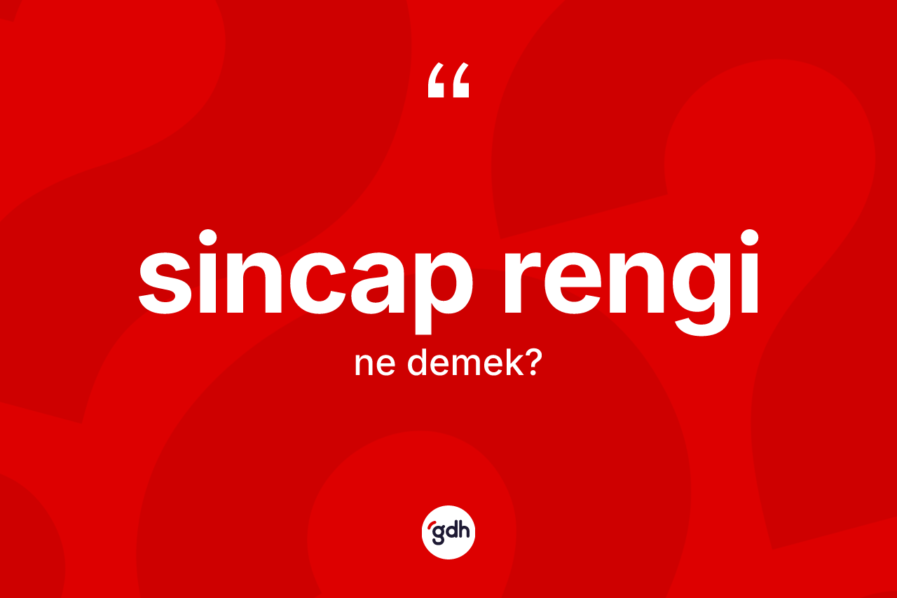 Sincap rengi kelimesi nedir? Sincap renginin kısaca tanımı nedir?