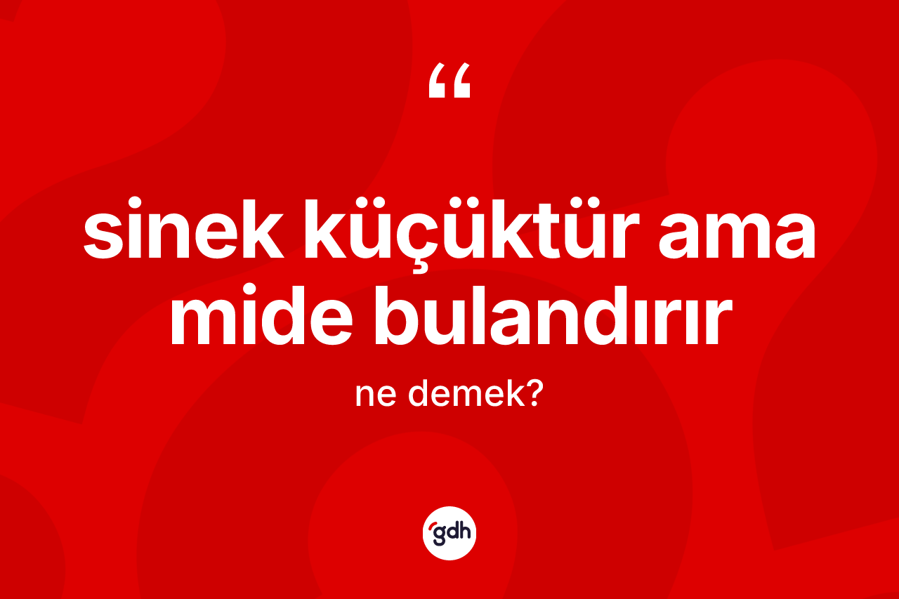 Sinek küçüktür ama mide bulandırır ifadesinin anlamı nedir?