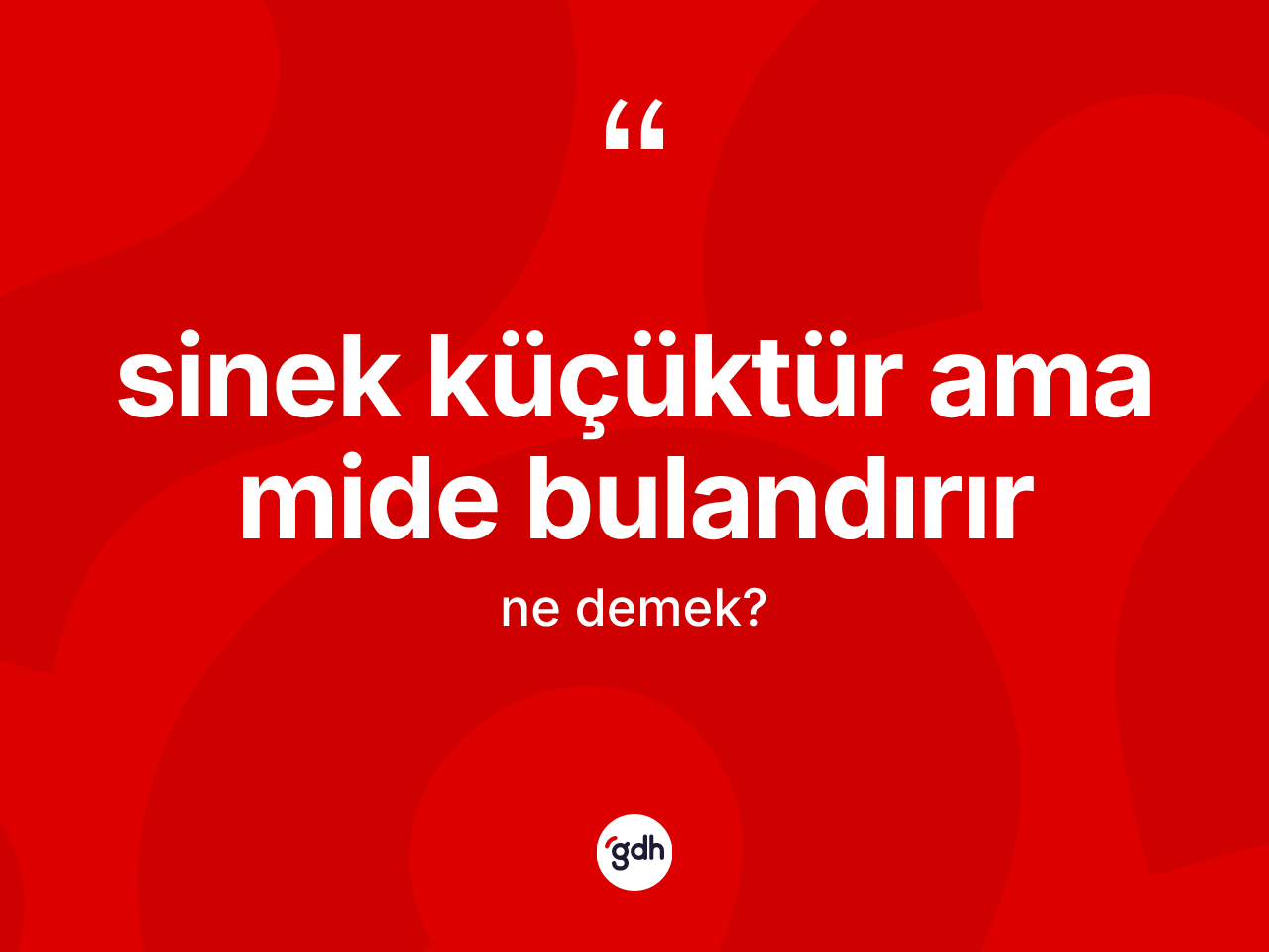 Sinek küçüktür ama mide bulandırır ifadesinin anlamı nedir? Sinek küçüktür ama mide bulandırır ifadesi hangi durumlarda kullanılır
