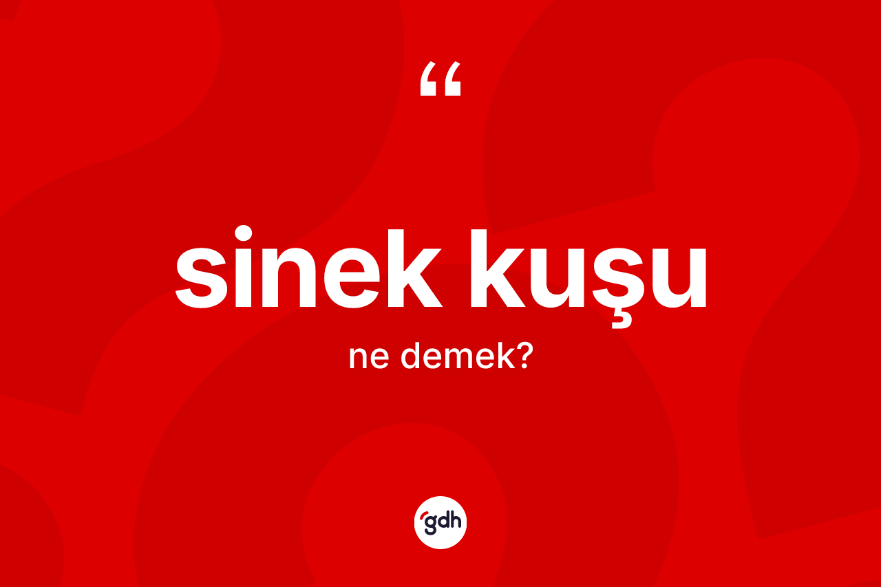 Sinek kuşu nedir?