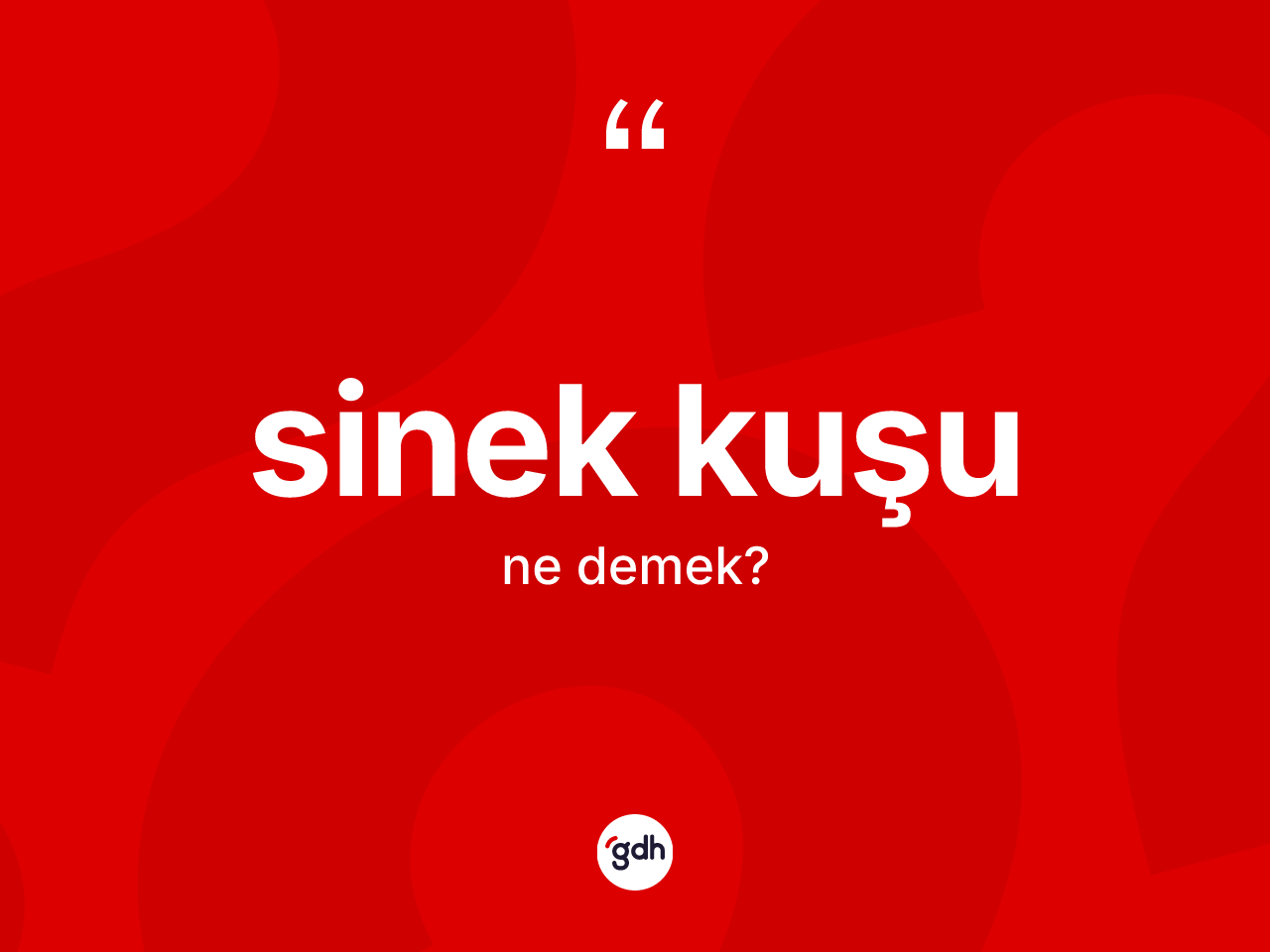 Sinek kuşu nedir? Sinek kuşu kelimesinin TDK anlamı nedir?