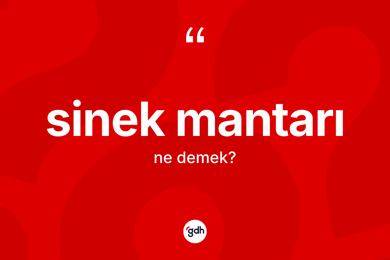 Sinek mantarı kelimesi ne demek? Sinek mantarının sözlükteki anlamı nedir?