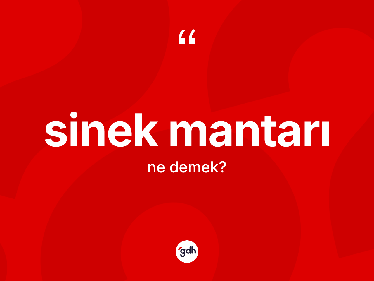 Sinek mantarı kelimesi ne demek? Sinek mantarının sözlükteki anlamı nedir?