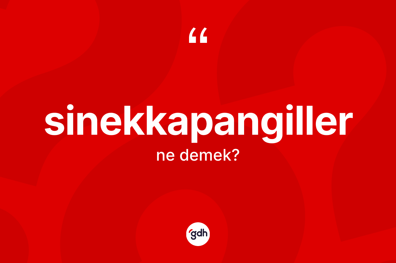 Sinekkapangiller kelimesinin anlamı nedir? Sinekkapangillerin halk arasındaki kullanımı nasıldır?