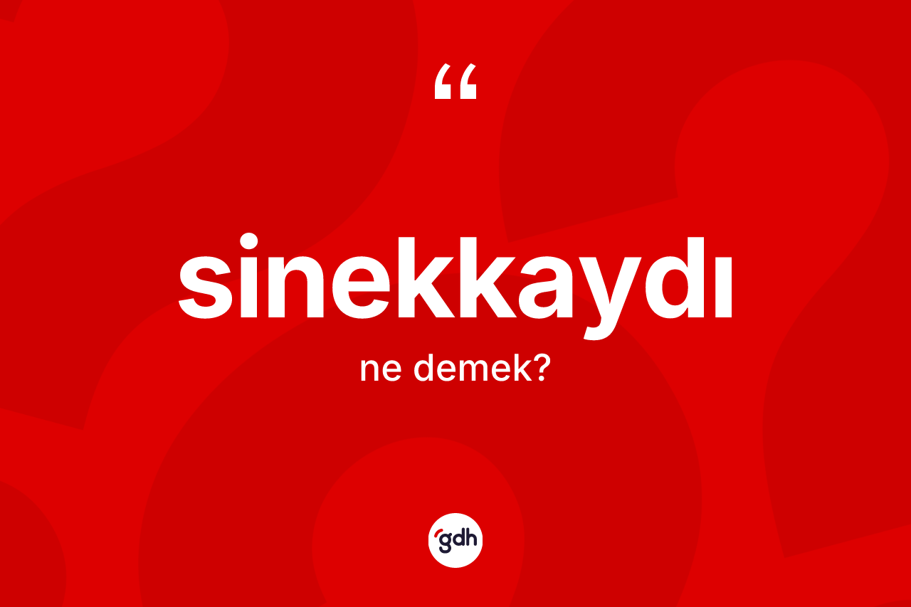 Sinekkaydı ne demek? Sinekkaydı kelimesinin TDK anlamı nedir?