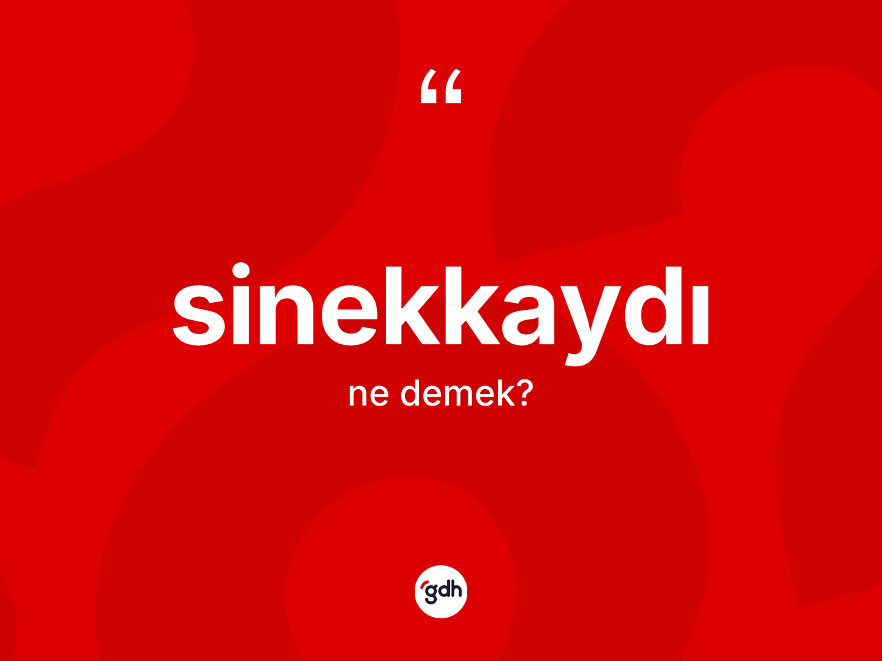 Sinekkaydı ne demek? Sinekkaydı kelimesinin TDK anlamı nedir?