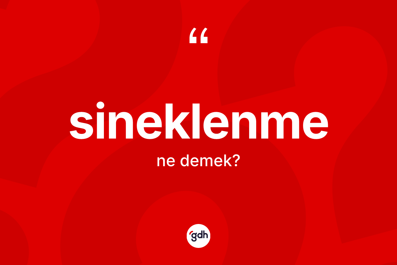 Sineklenme kelimesinin anlamı nedir? Sineklenmenin kısaca tanımı nedir?