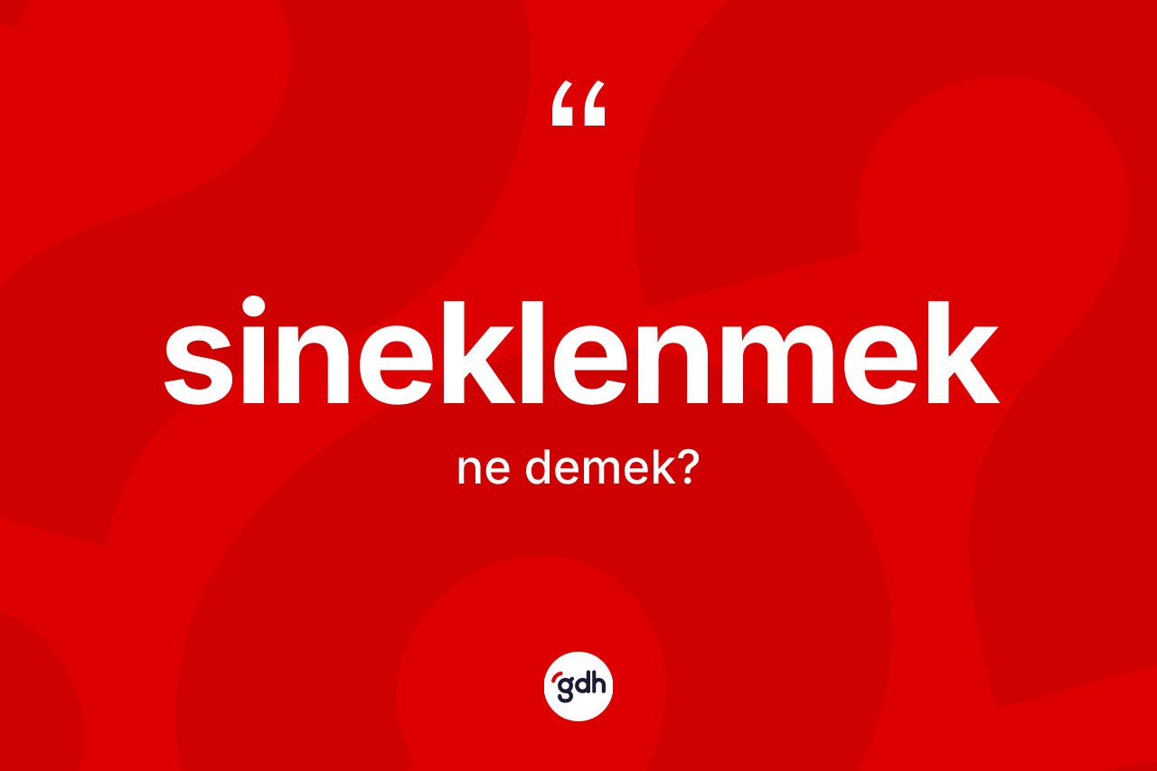Sineklenmek kelimesinin anlamı nedir?
