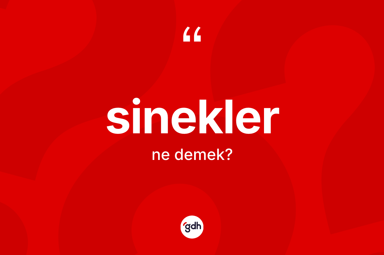 Sinekler kelimesinin anlamı nedir?