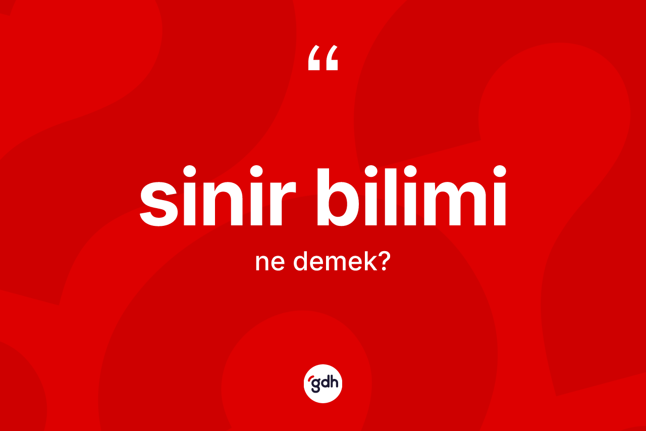 Sinir bilimi ne anlama gelir?