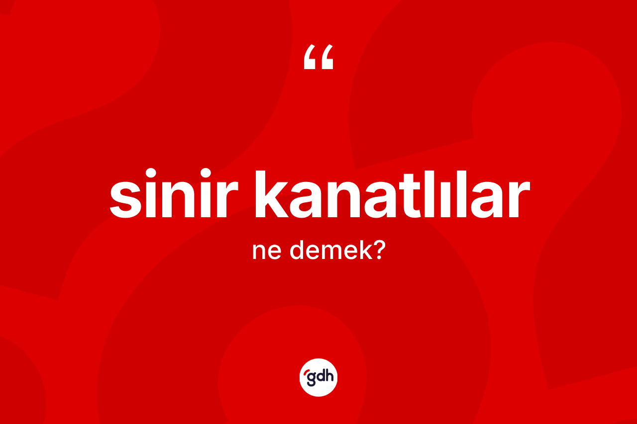 Sinir kanatlılar kelimesinin sözlükteki tanımı nedir?