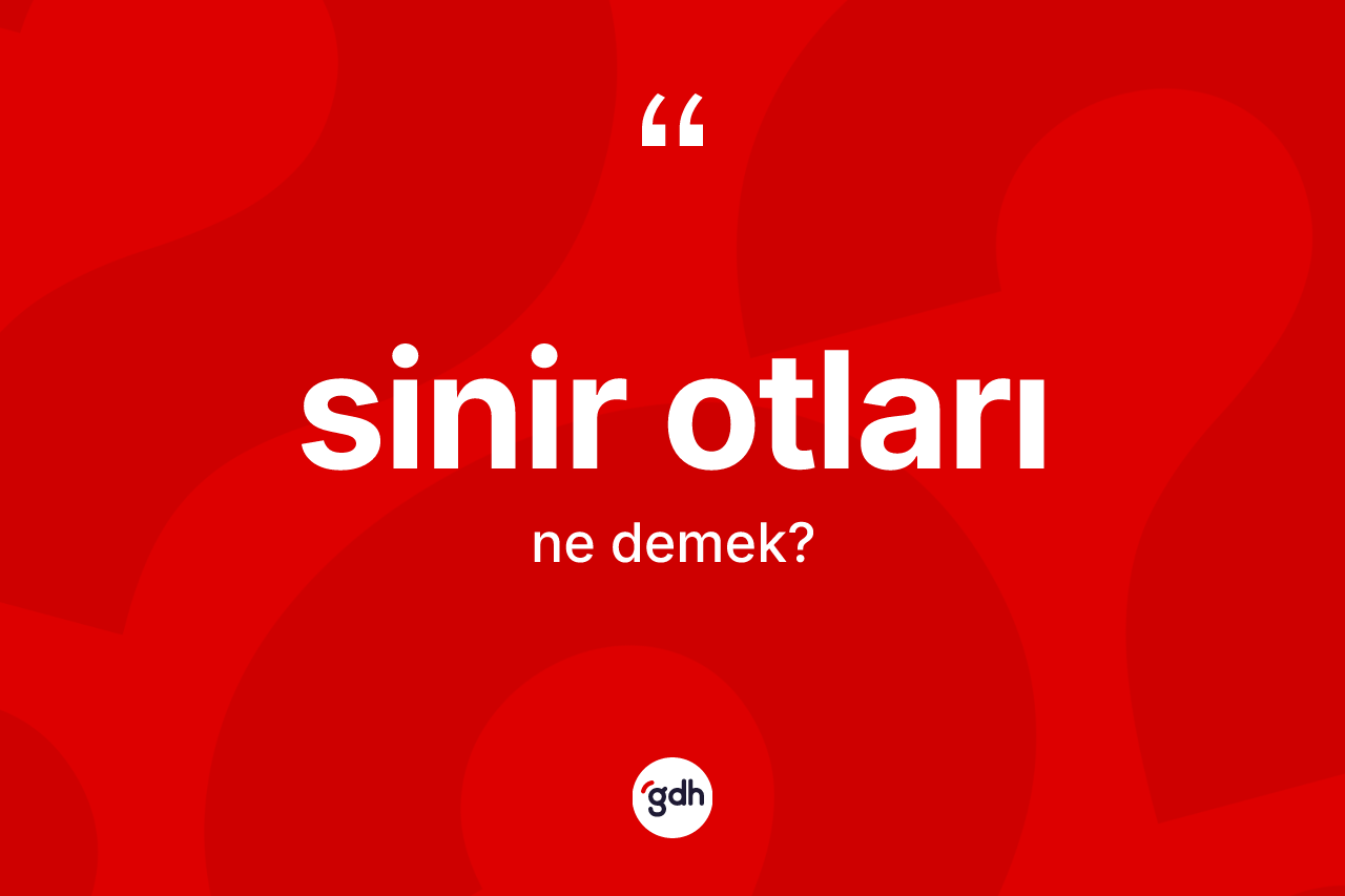 Sinir otları nedir? Sinir otları kelimesinin TDK anlamı nedir?