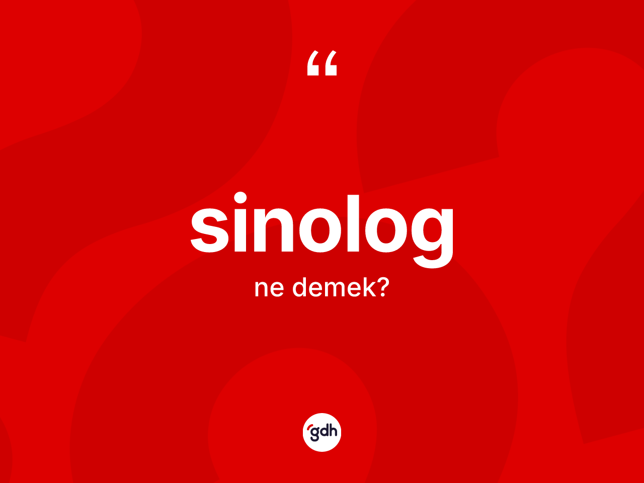 Sinolog kelimesinin sözlükteki tanımı nedir? Sinolog'un TDK'ya göre anlamı nedir?