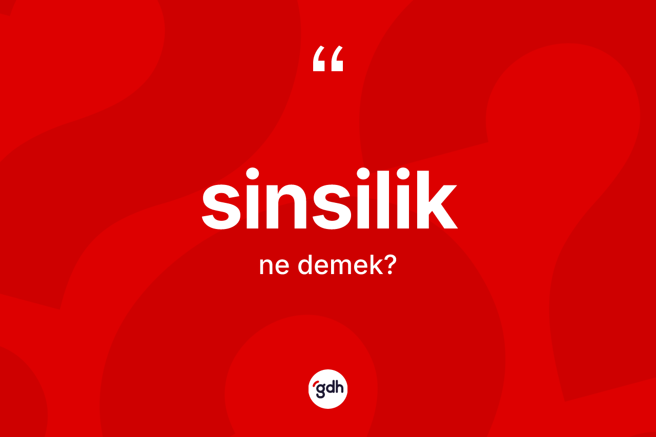 Sinsilik kelimesinin tanımı nedir?