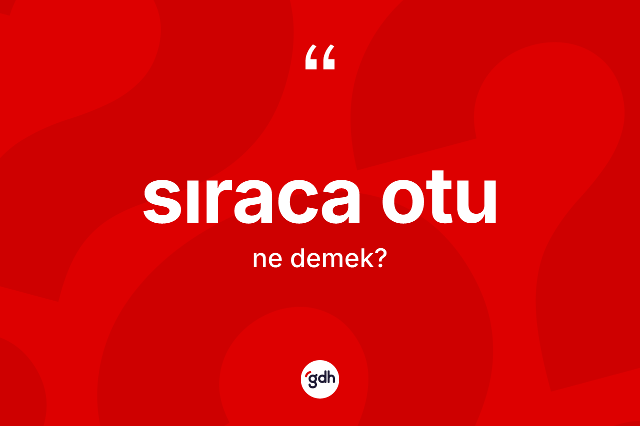 Sıraca otu nedir? Sıraca otunun halk arasındaki kullanımı nasıldır?
