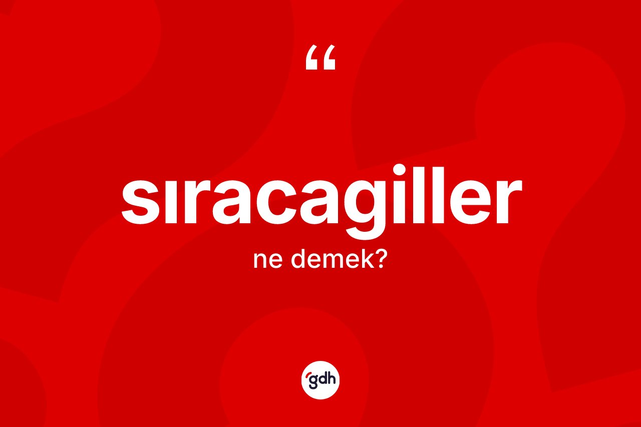 Sıracagiller kelimesinin anlamı nedir?