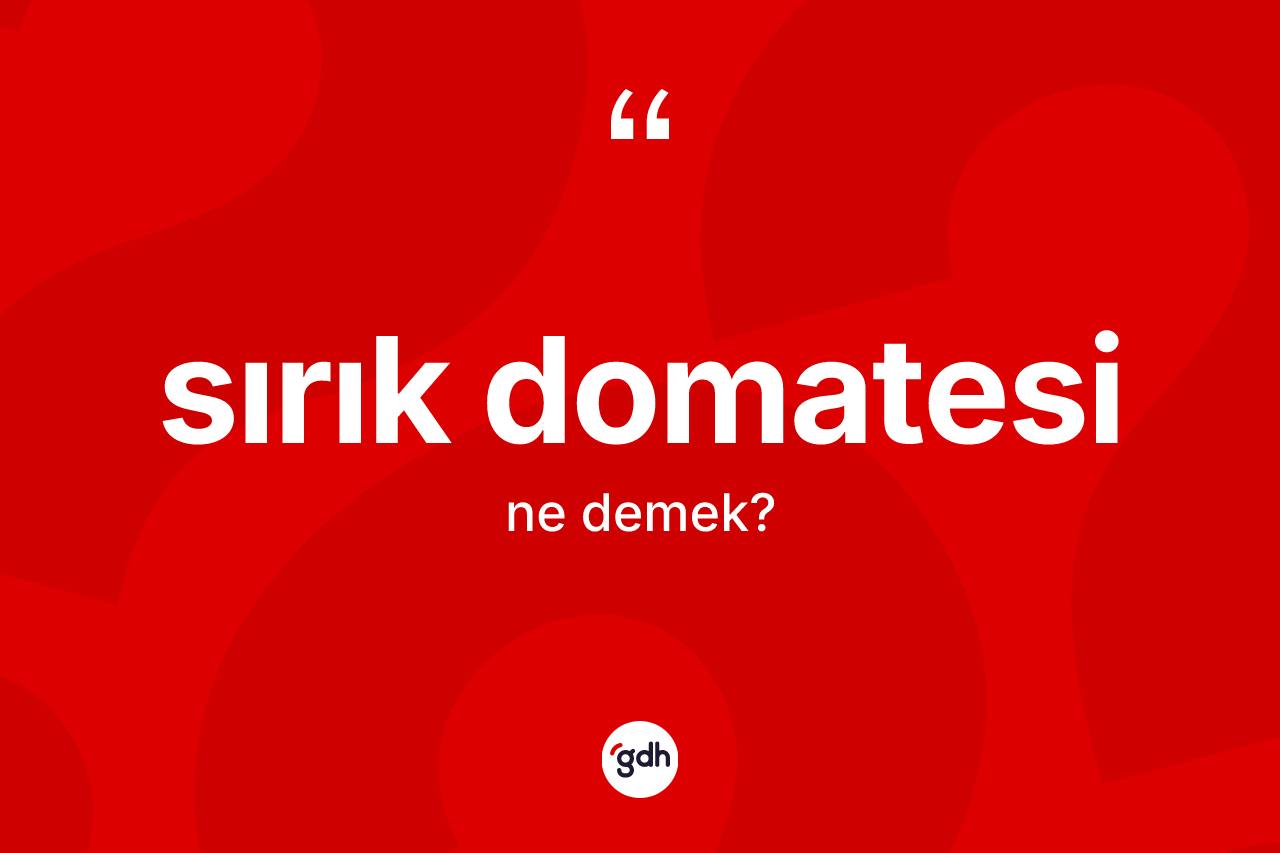 Sırık domatesi kelimesinin sözlükteki tanımı nedir?