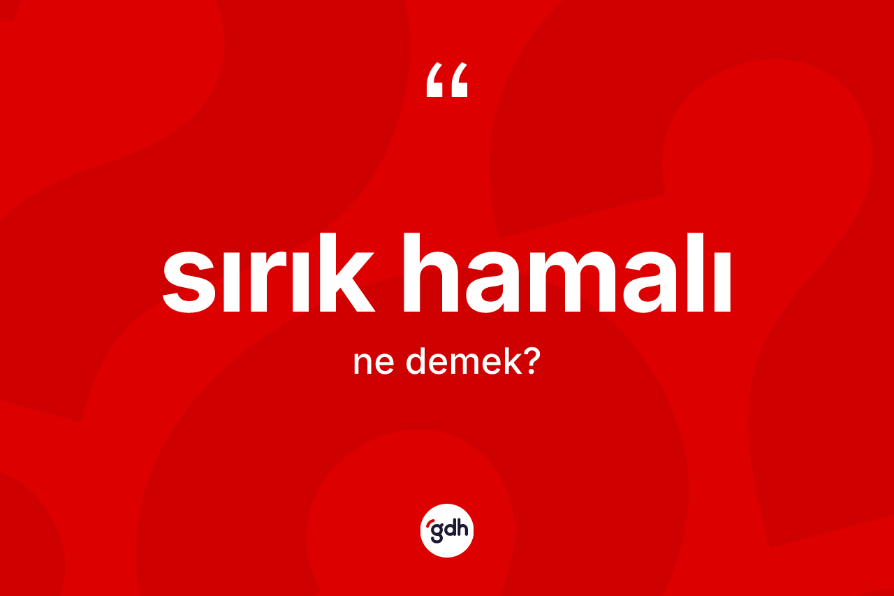 Sırık hamalı ne anlama gelir? Sırık hamalı kelimesinin TDK'ya göre açıklaması nedir?