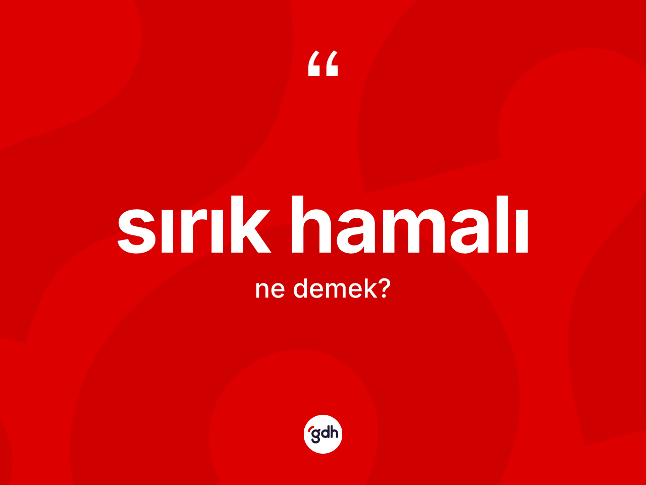Sırık hamalı ne anlama gelir? Sırık hamalı kelimesinin TDK'ya göre açıklaması nedir?