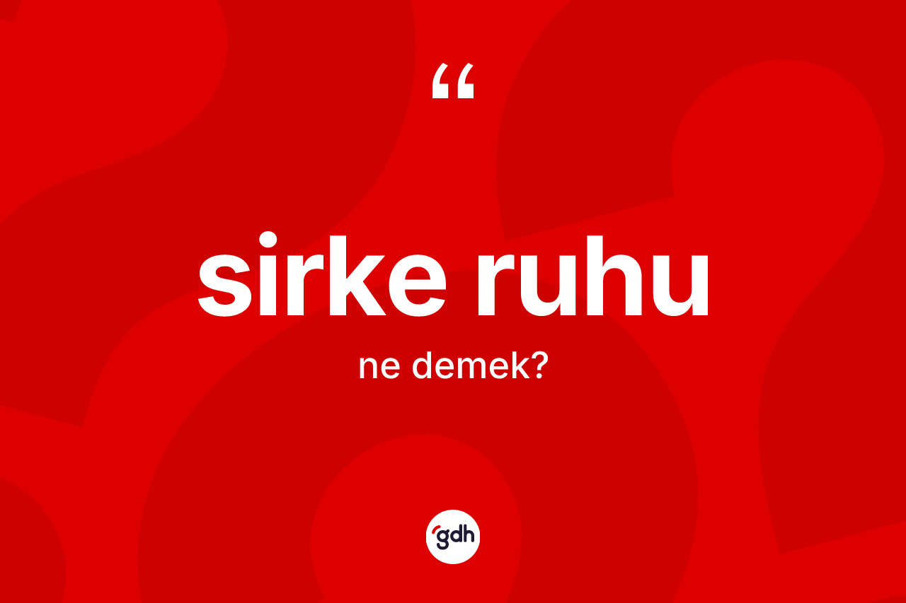 Sirke ruhu kelimesinin sözlükteki tanımı nedir? Sirke ruhunun sözlükteki anlamı nedir?