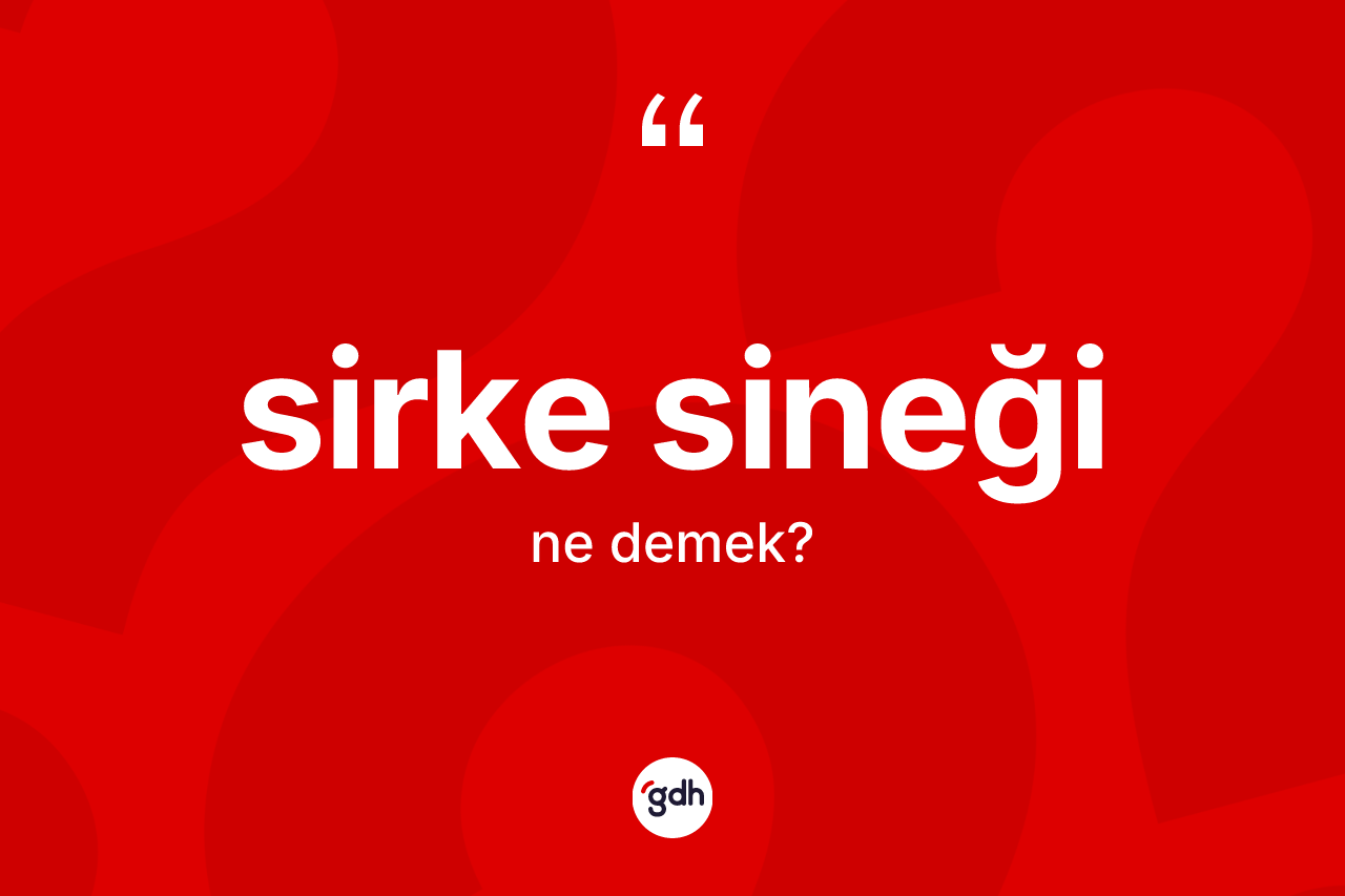 Sirke sineği kelimesi nedir?