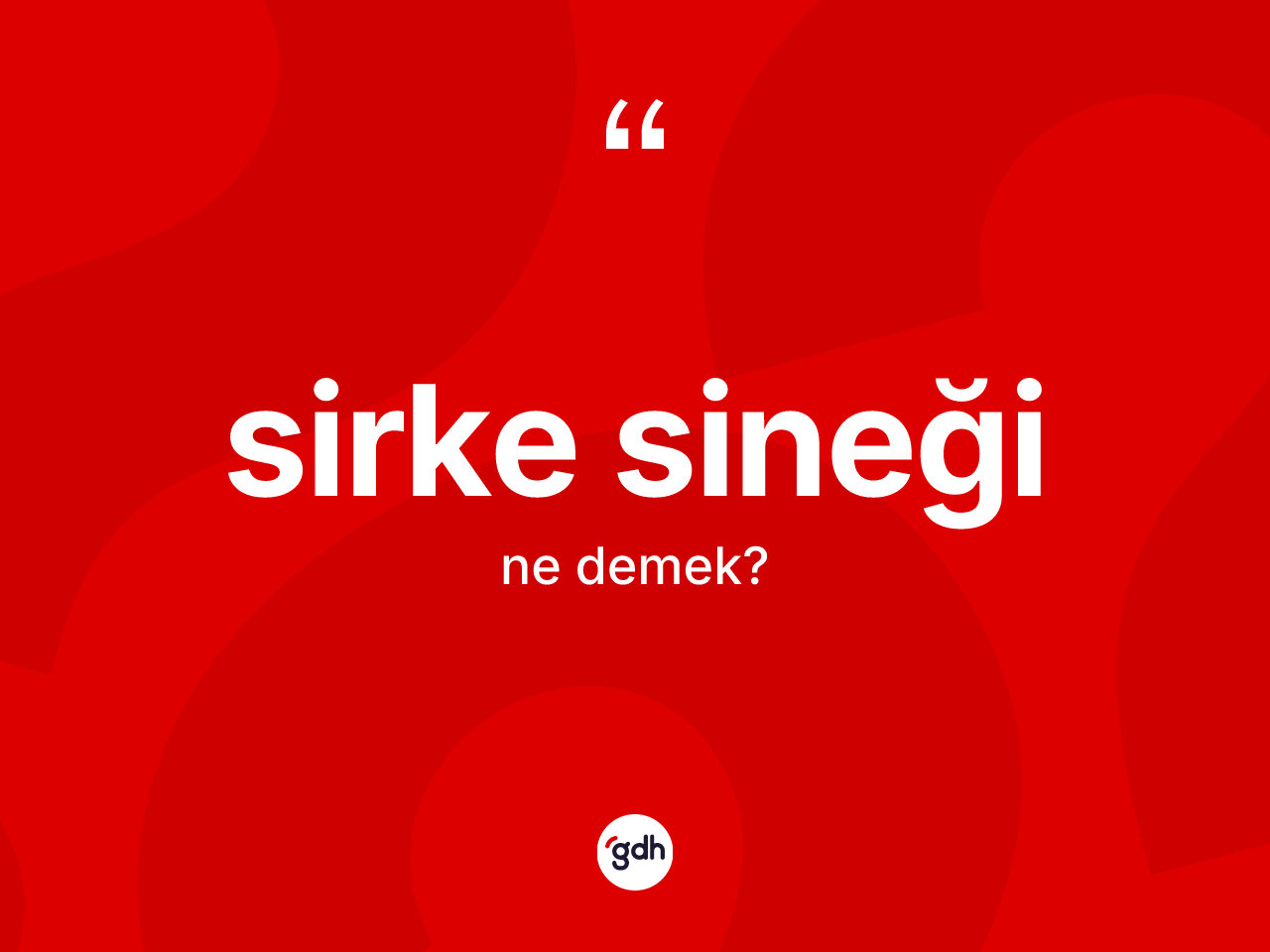 Sirke sineği kelimesi nedir? Sirke sineğinin TDK'ya göre anlamı nedir?