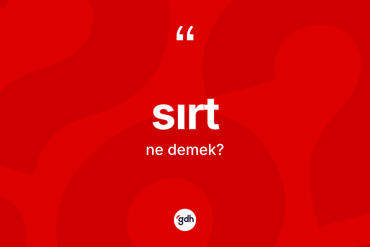 Sırt kelimesi ne demek? Sırt kelimesinin özellikleri nelerdir?