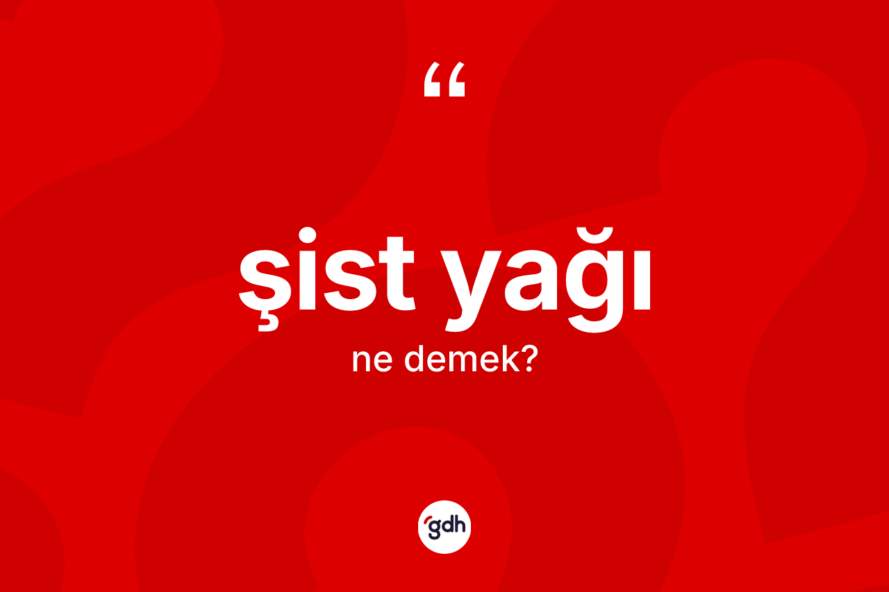 Şist yağı kelimesi ne anlama gelir?