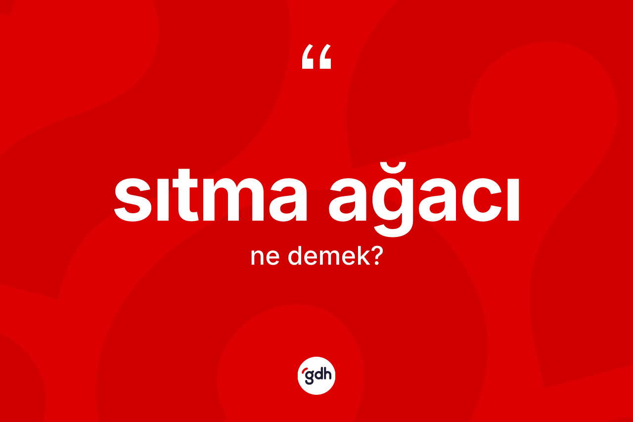 Sıtma ağacı kelimesinin tanımı nedir? Sıtma ağacının kısaca tanımı nedir?