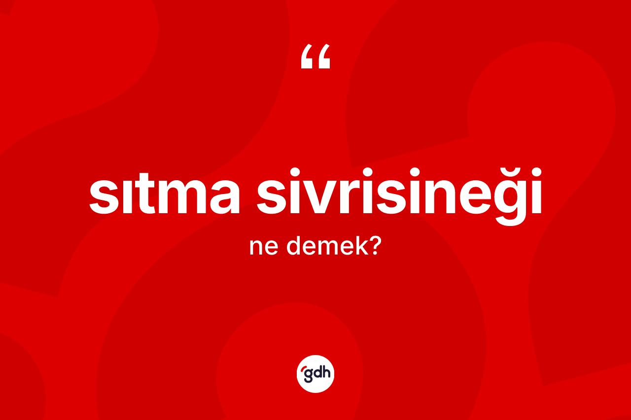 Sıtma sivrisineği kelimesi ne anlama gelir? Sıtma sivrisineği kelimesinin TDK'ya göre açıklaması nedir?