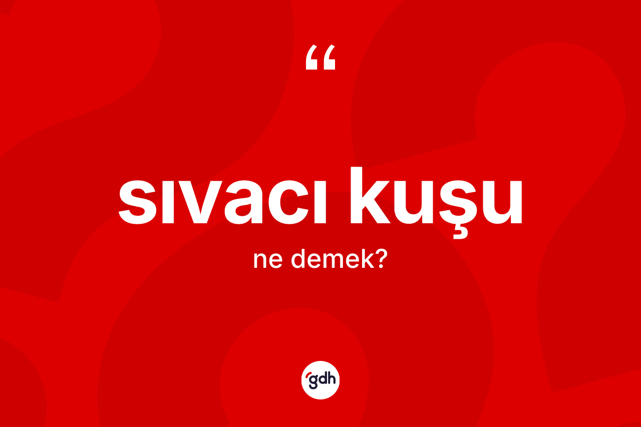 Sıvacı kuşu kelimesinin tanımı nedir?