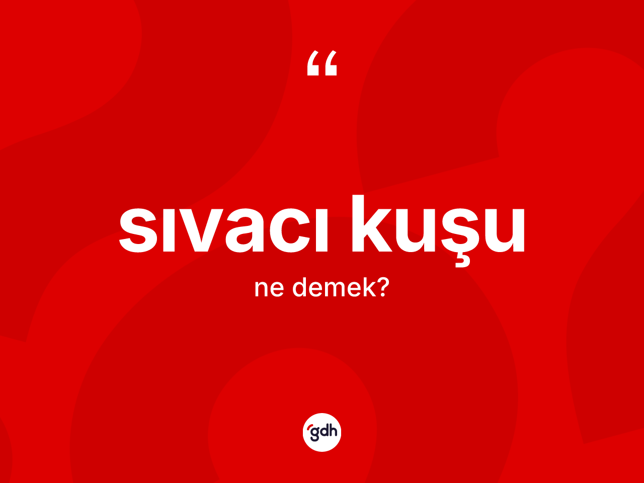 Sıvacı kuşu kelimesinin tanımı nedir? Sıvacı kuşunun kısaca tanımı nedir?